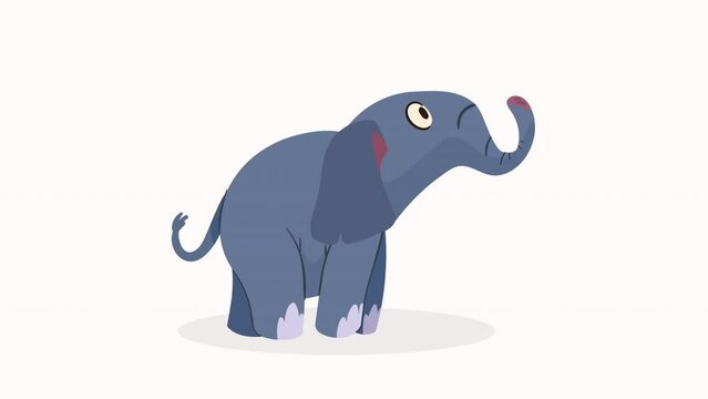 cute baby elephant animal animation