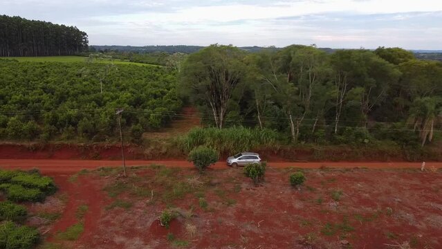Argentina's famous vineyards aerial view and the forestry in the background on the distance