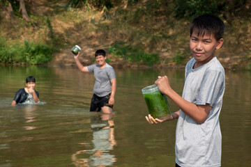 Asian boys hold freshwater algae that grows naturally in a river. Idea for studying nature,...