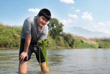 Asian boy holds freshwater algae that grows naturally in a river. Idea for studying nature,...