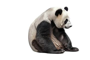panda sitting on a transparent background, Generative Ai