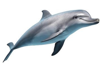 dolphin on a transparent background, Generative Ai