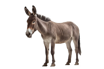 donkey on a transparent background, Generative Ai