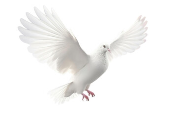 dove on a transparent background, Generative Ai