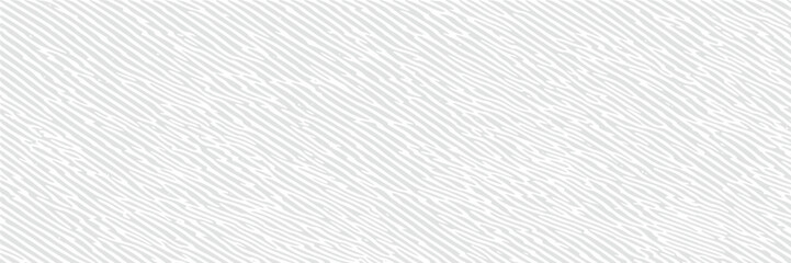 Light gray vector background, abstract texture, banner