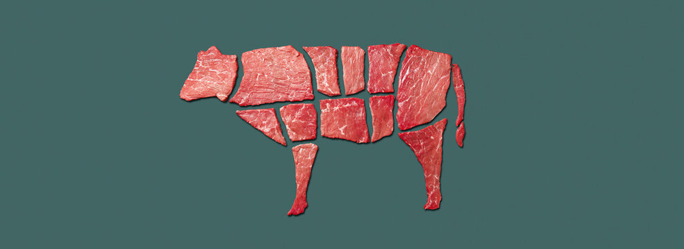 Concept marbled meat beef. Grass fed beef. Caw made up of beef pieces