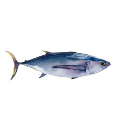 tuna with style hand drawn digital painting illustration