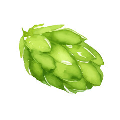 green hop with style hand drawn digital painting illustration