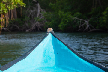 mangrove swamp in coveñas colombia by the sea tropical forest at the beach with blue boat pov