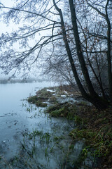 Scary mysterious forest with green light and frozen lake in fog in winter. Nature misty landscape. Scary halloween landscape background. Trail through mysterious dark old forest in fog. Magical
