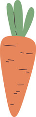 Carrot Vegetable Illustration
