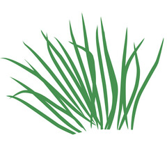 Flat Grass 