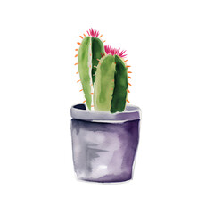 watercolor cactus in pot