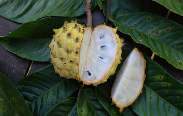 Fruta do conde, condessa ou pinha, fruto das américas central e do sul