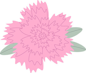 Fototapeta premium Carnation Flower With Leaves