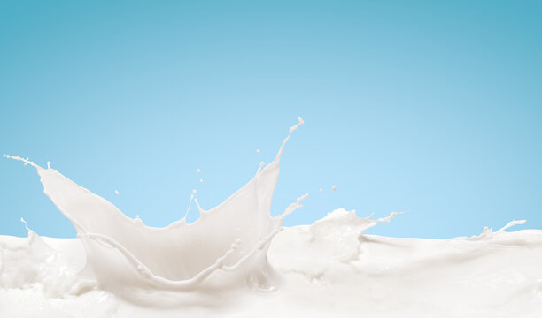 Realistic milk splash, splashing in milk pool with isolated on blue background.