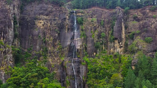 Waterfall in the green forest. Bambarakanda Falls in the jungle. Sri Lanka.