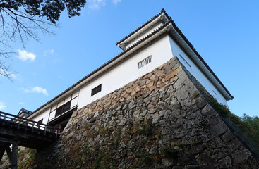 Fototapeta na wymiar 日本の滋賀県の国宝の彦根城