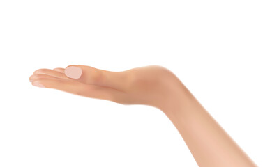 Side view of a palm of an open hand. Close-up of realistic woman's hand, palm up. Vector.