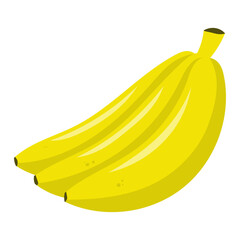 banana fruit vector illustration 