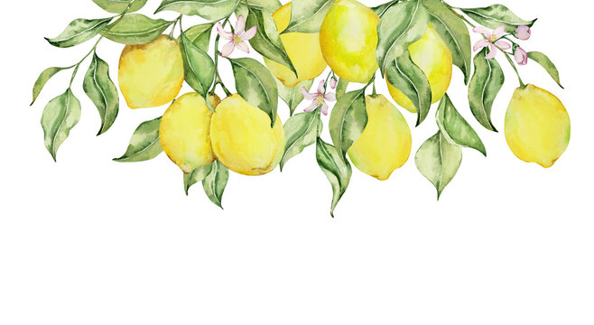 Frame border of watercolor lemons, flowers and leaves