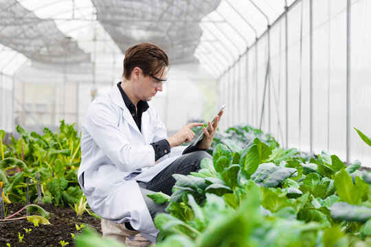 Agriculture scientist man working plant research in bio farm laboratory. Biologist study collecting data with laptop computer.