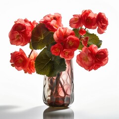Fresh Cut: Stunning Summer Begonias Flowers in a Glass Tall Vase, Isolated on White Background - Generative AI