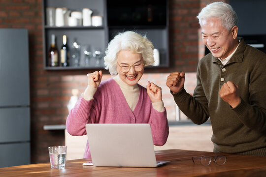 Elderly couple using laptop at home
