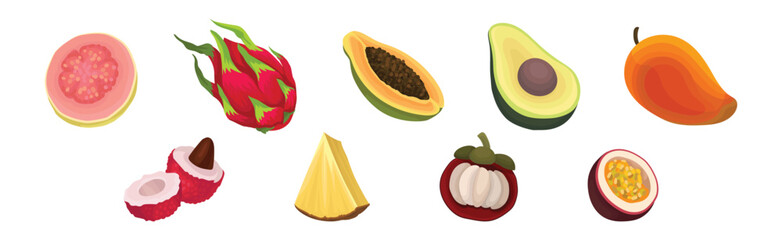 Ripe and Fresh Exotic Fruits with Sweet Tasty Pulp Vector Set