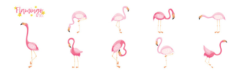 Pink Flamingo as Exotic Tropical Bird in Pose Vector Set