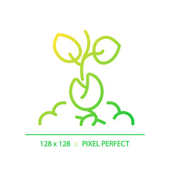 Germination gradient linear vector icon. Seed starting. Seedling sprouting from soil. Plant growth stage. Thin line color symbol. Modern style pictogram. Vector isolated outline drawing