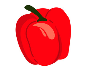 Red bell pepper isolated on white background. Vector illustration