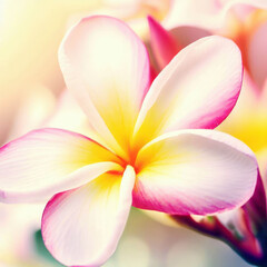 Beautiful frangipani blossom, Easter, Birthday, Mother's Day, generative ai