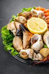 seafood plate assorted shrimps, crab claws, clams, rapan, trumpeter mollusk meal food snack on the table copy space food background rustic top view