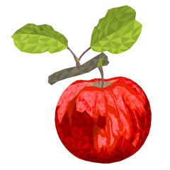 Red apple with green leaves branch polygons vector illustration editable hand draw