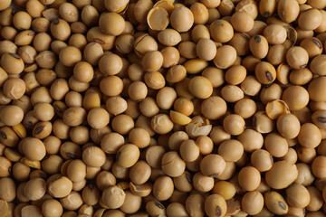 Soy seeds on whole background, close up
