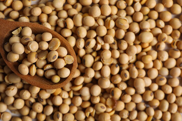 Wooden spoon with soy seeds, close up