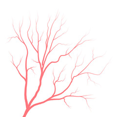Human eye blood veins vessels silhouettes vector illustration isolated on white background. Eyeballs red veins anatomical human blood vessel artery health system.