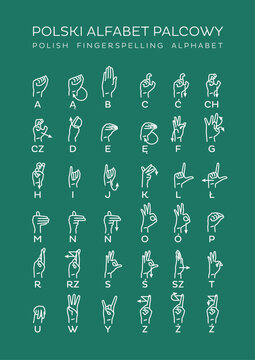 Polski Alfabet Palcowy
Polish Fingerspelling Alphabet
Polish Finger Alphabet