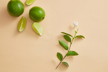 A branch of white flower is decorated on pastel background with some Lime slices. Lime (Citrus aurantiifolia) essential oil is used for a variety of skin conditions, including acne skin
