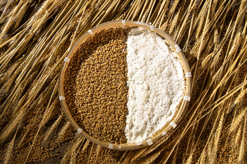 Wheat and flour