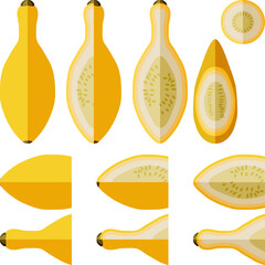 Set with whole, half, quarter, slices of Crookneck Yellow Squash. Summer squash. Cucurbita pepo. Cucurbitaceae. Fruits and vegetables. Flat style. Vector illustration isolated on white background.