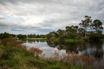 Fototapeta na wymiar Wetland in the Australian outback
