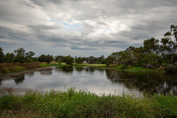 Wetland in the Australian outback
