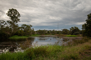 Obraz premium Wetland in the Australian outback