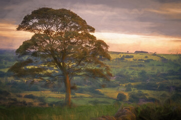 Digital painting of a lone tree at sunset on the Roaches in the Peak District National park. Tittesworth reservoir can be seen through the branches of the tree.