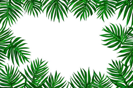 Top view of creative natural background frame for text, with tropical leaves, copy space available, created by generative AI