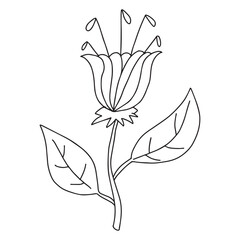Colorful fantasy doodle cartoon flower isolated on white background.