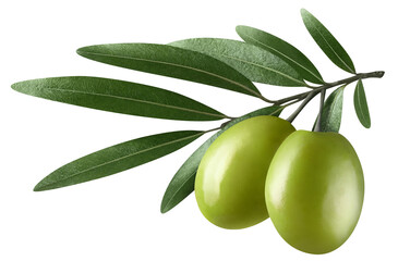 Olive branch with two delicious green olives, cut out © Yeti Studio