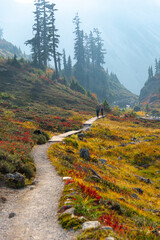 Bagley Lake hiking trail at Mount Baker in Autumn - 591789781